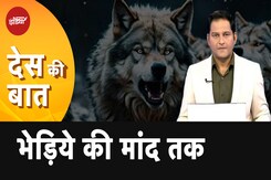 Wolf Attack In Uttar Pradesh: Bahraich में आदमखोर भेड़ियों को देखते ही गोली मारने का आदेश Wolf Attack In Uttar Pradesh: Bahraich में आदमखोर भेड़ियों को देखते ही गोली मारने का आदेश