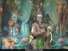 Video: 11-Foot Ganesh Idol Made Using Neem Barks In Surat Video: 11-Foot Ganesh Idol Made Using Neem Barks In Surat