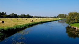 Mystery Of 3,000-Year-Old Battle Unfolds In Germany's Tollense River Valley