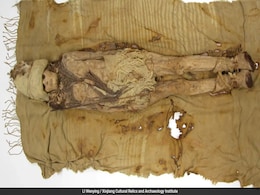 World's Oldest Cheese Found On 3600-Year-Old Chinese Mummies World's Oldest Cheese Found On 3600-Year-Old Chinese Mummies