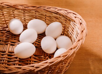 Study Says Eating An Egg A Day May Improve Women's Brain And Memory Function Study Says Eating An Egg A Day May Improve Women's Brain And Memory Function