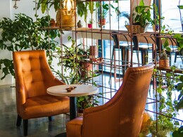 इन पॉट्स और प्लांटर से अपने गार्डन को बनाएं और भी अट्रैक्टिव, Amazon से तुरंत कर लें ऑर्डर