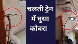 Snakes on a Train: चलती ट्रेन में अचानक फुफकारने लगा कोबरा, नजर पड़ते ही गाड़ी में मच गई अफरातफरी, वीडियो में देखें पूरा मंजर