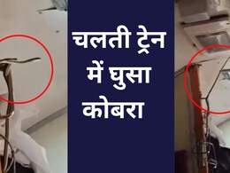 Snakes on a Train: चलती ट्रेन में अचानक फुफकारने लगा कोबरा, नजर पड़ते ही गाड़ी में मच गई अफरातफरी, वीडियो में देखें पूरा मंजर Snakes on a Train: चलती ट्रेन में अचानक फुफकारने लगा कोबरा, नजर पड़ते ही गाड़ी में मच गई अफरातफरी, वीडियो में देखें पूरा मंजर