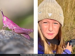 8 साल की इस छोटी फोटोग्राफर ने खोज निकाला दुर्लभ गुलाबी टिड्डा, तस्वीर देख हैरत में पड़े लोग