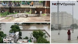 Opinion | Crocodiles, Road Cave-Ins: Gujarat Infra Is Facing A Monsoon Test