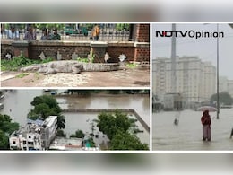 Opinion | Crocodiles, Road Cave-Ins: Gujarat Infra Is Facing A Monsoon Test Opinion | Crocodiles, Road Cave-Ins: Gujarat Infra Is Facing A Monsoon Test