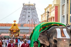 Special Team To Probe Alleged Irregularities In Tirupati Temple Body Amid Laddoo Raw Special Team To Probe Alleged Irregularities In Tirupati Temple Body Amid Laddoo Raw