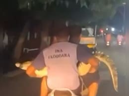 न पिंजरा, न गाड़ी…मगरमच्छ को गोद में उठाकर फर्राटे से स्कूटर पर ले जाते दिखे 2 शख्स