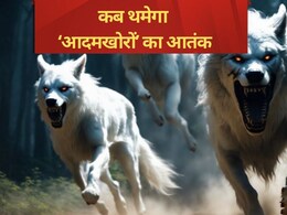 9 बच्चों को ले जा चुका वो, 16 टीमें लगी हैं, पर भेड़िया खेल रहा 'लुकाछिपी' 9 बच्चों को ले जा चुका वो, 16 टीमें लगी हैं, पर भेड़िया खेल रहा 'लुकाछिपी'