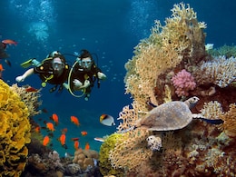 10 Of The Best Scuba Diving Destinations In The World You Can't Miss