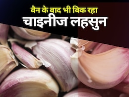 Chinese Garlic: चाइनीज लहसुन पर क्यों मचा है हंगामा, राजस्थान में भी चिंता
