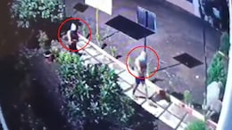 'Underwear' Gang Strikes In Nashik, Steals Gold Worth 5 Lakh -- And Bananas