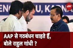 Haryana में AAP से मिलकर चुनाव लड़ेगी Congress? Rahul Gandhi बोले, Sanjay Singh ने किया स्वागत Haryana में AAP से मिलकर चुनाव लड़ेगी Congress? Rahul Gandhi बोले, Sanjay Singh ने किया स्वागत