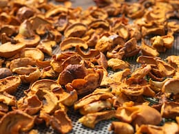 सूखने के बाद कई गुना बढ़ जाती है इसकी कीमत, क्या आपको पता है इस सब्जी का नाम