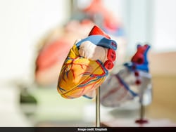 Is Your Heart Ageing Faster Than You? Here&#039;s How To Find Out Your &quot;Heart Age&quot;