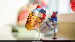 Is Your Heart Ageing Faster Than You? Here's How To Find Out Your "Heart Age"