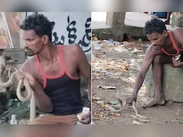 पालतू जानवर की तरह कोबरा को पुचकार रहा था शख्स, अगले ही पल जो हुआ उसे देख लोग बोले- यमराज से दोस्ती है भाई की पालतू जानवर की तरह कोबरा को पुचकार रहा था शख्स, अगले ही पल जो हुआ उसे देख लोग बोले- यमराज से दोस्ती है भाई की