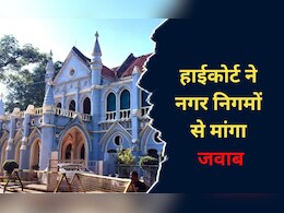 MP में डेंगू का प्रकोप! हाईकोर्ट ने मांगा जवाब, नगर निगमों पर लापरवाही का आरोप