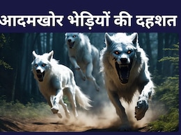 बहराइच में 2 और बच्चों को निवाला बना रहे थे आदमखोर भेड़िए, ऐसे बाल-बाल बचे बहराइच में 2 और बच्चों को निवाला बना रहे थे आदमखोर भेड़िए, ऐसे बाल-बाल बचे