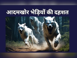सोते हुए बच्चों को उठाकर ले जा रहे भेड़िए, घर पर भी लगने लगा डर, बहराइच के 35 गांवों में आदमखोर जानवरों का तांडव सोते हुए बच्चों को उठाकर ले जा रहे भेड़िए, घर पर भी लगने लगा डर, बहराइच के 35 गांवों में आदमखोर जानवरों का तांडव