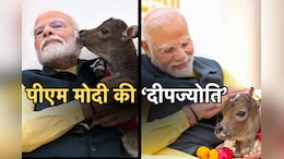 PM मोदी के घर आया नया मेहमान, देखिए 'दीपज्योति' को कैसे मिल रहा है दुलार