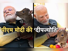 PM मोदी के घर आया नया मेहमान, देखिए 'दीपज्योति' को कैसे मिल रहा है दुलार
