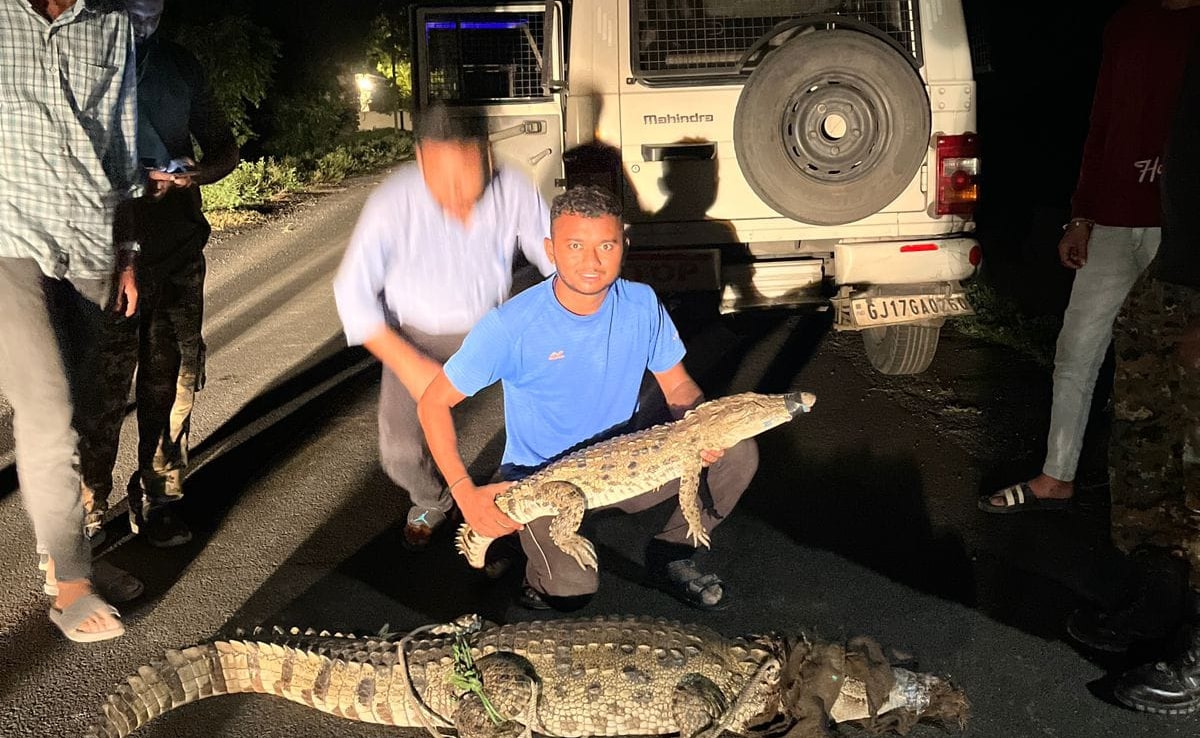 Latest and Breaking News on NDTV Latest and Breaking News on NDTV