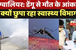 MP Dengue Update: Gwalior में अब तक Dengue से 4 मौत, आंकड़े  क्यों छुपा रहा Health Departmen MP Dengue Update: Gwalior में अब तक Dengue से 4 मौत, आंकड़े  क्यों छुपा रहा Health Departmen