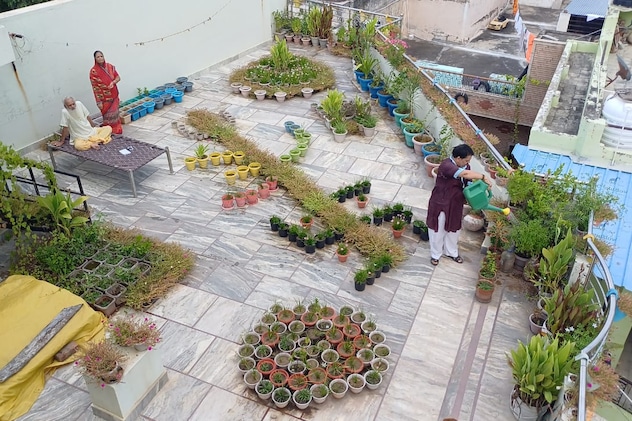 कड़ी मेहनत से 5200 पौधे लगाने का कमाल कर दिखाया कड़ी मेहनत से 5200 पौधे लगाने का कमाल कर दिखाया