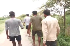 Homemade Weapons, Night Patrol: How UP Villages Are Protecting Children From Wolves Homemade Weapons, Night Patrol: How UP Villages Are Protecting Children From Wolves