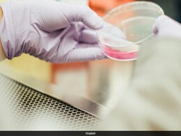 After 100-Year Hypothesis, Scientists Find Cells That Could Heal Chronic Wounds After 100-Year Hypothesis, Scientists Find Cells That Could Heal Chronic Wounds