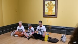 "End Of Soup On Van Goghs": Environmental Group Says It Will Stop Climate Stunts