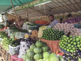 राजस्थान में आसमान छूने लगे सब्जियों के दाम, 300 रुपये किलो बिक रहा फ्री मिलने वाला धनिया