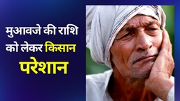 PMFBY: छत्तीसगढ़ के इस जिले में किसानों को नहीं मिला पीएम फसल बीमा योजना का लाभ, जानें पूरा मामला