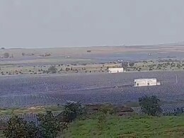 US की यूनिवर्सिटी में पढ़ाया जा रहा MP का ये सोलर प्रोजेक्ट ! जानें क्या है खास ?