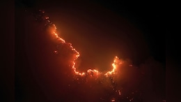 'Red Alert': Fire Wipes Out Tropical Rainforest Twice The Size Of Belgium