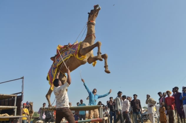 Latest and Breaking News on NDTV Latest and Breaking News on NDTV