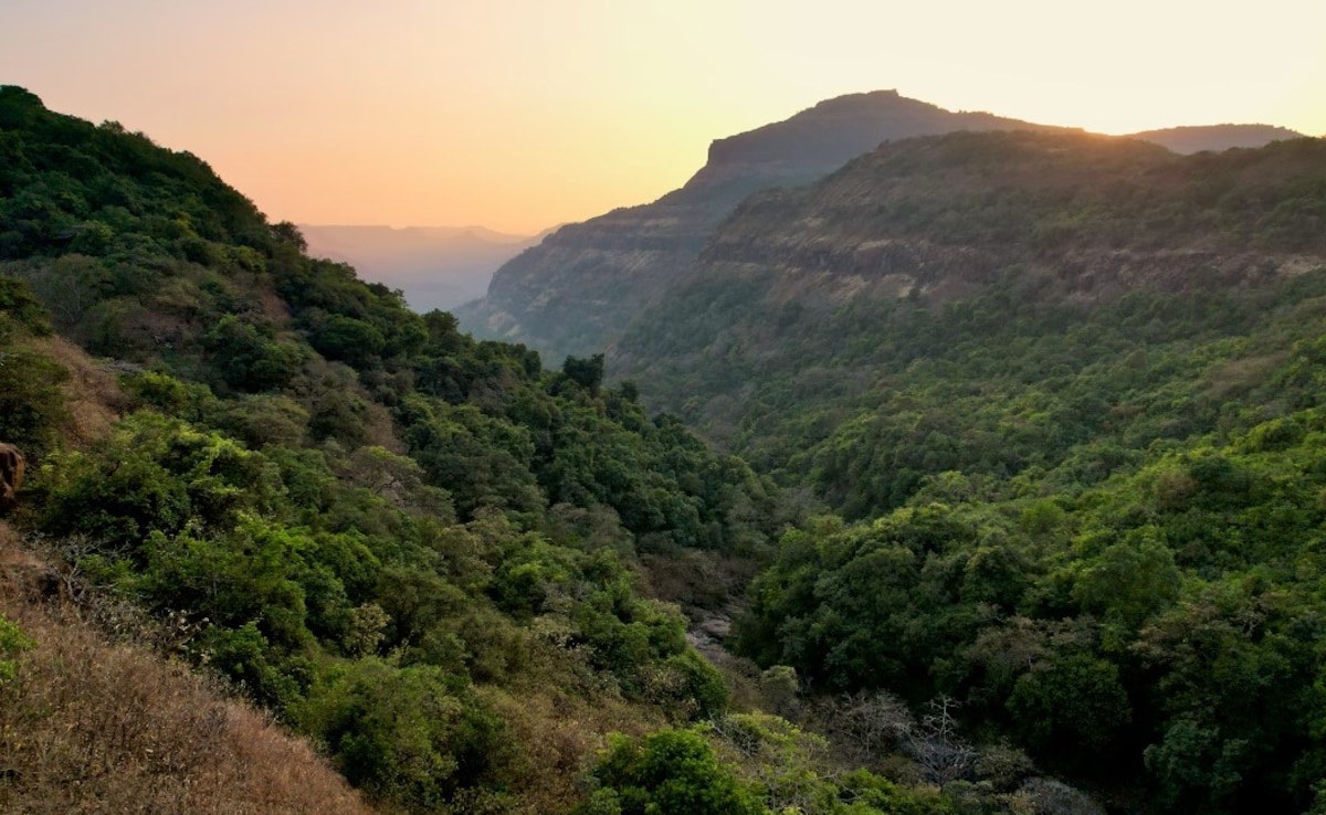 Latest and Breaking News on NDTV Latest and Breaking News on NDTV