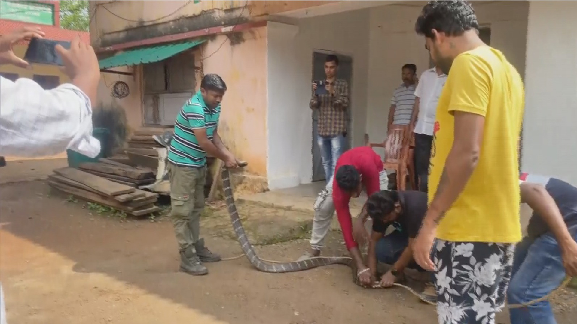 Highly-venomous King Cobra sneaks into Odisha Home, Rescued by Forest Department