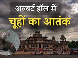 सैंकड़ों चूहों ने खोदी अल्बर्ट हॉल और रामनिवास बाग की जमीन, सरकार ने किया एहतियात के तौर पर किया बंद 
