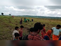एमपी में अन्नदाता की मेहनत पर फिरा पानी, विदिशा में सोयाबीन की फसल प्रभावित एमपी में अन्नदाता की मेहनत पर फिरा पानी, विदिशा में सोयाबीन की फसल प्रभावित