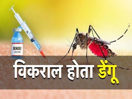 दुनिया भर में तेजी से फैल रहा है डेंगू का संक्रमण, क्यों और कैसे फैलता है दुनिया भर में तेजी से फैल रहा है डेंगू का संक्रमण, क्यों और कैसे फैलता है