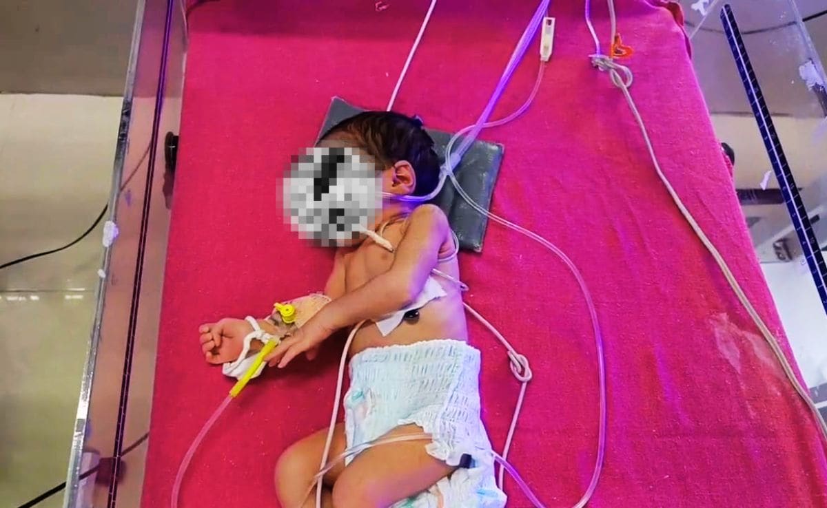 Latest and Breaking News on NDTV