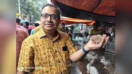 Trinamool's Kunal Ghosh's 'Rat' Photo Barb, CPM Leader's 'Rabbit' Comeback