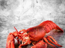 क्रैब खाने के शौकीन हैं? इस खतरनाक क्रैब को भूलकर भी न खाएं, वरना जा सकती है जान!