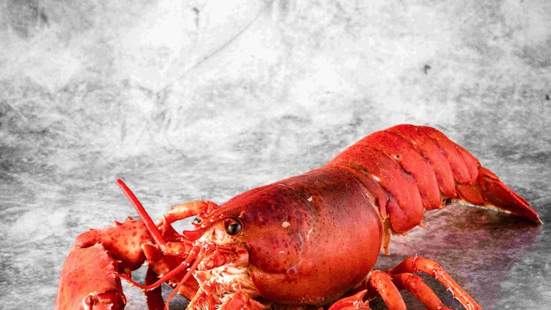 क्रैब खाने के शौकीन हैं? इस खतरनाक क्रैब को भूलकर भी न खाएं, वरना जा सकती है जान!