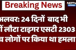 24 दिनों  बाद भी नहीं लौटा Tiger St 2303, पांच लोगों पर किया था हमला 24 दिनों  बाद भी नहीं लौटा Tiger St 2303, पांच लोगों पर किया था हमला