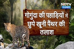 Udaipur Panther Attack: Udaipur में अभी भी जारी है आदमखोर Panther की तलाश | Latest News Udaipur Panther Attack: Udaipur में अभी भी जारी है आदमखोर Panther की तलाश | Latest News