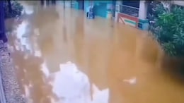 Dramatic Video Of Vijayawada Street Flooding, 4 Feet Of Water In 3 Hours